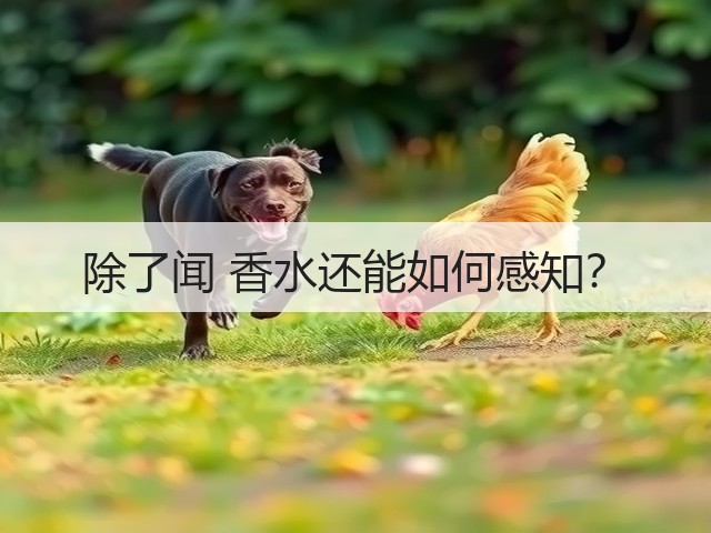 除了闻 香水还能如何感知?(图1) 除了闻 香水还能如何感知?(图1)