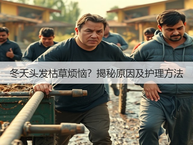 冬天头发枯草烦恼?揭秘原因及护理方法(图1) 冬天头发枯草烦恼?揭秘原因及护理方法(图1)