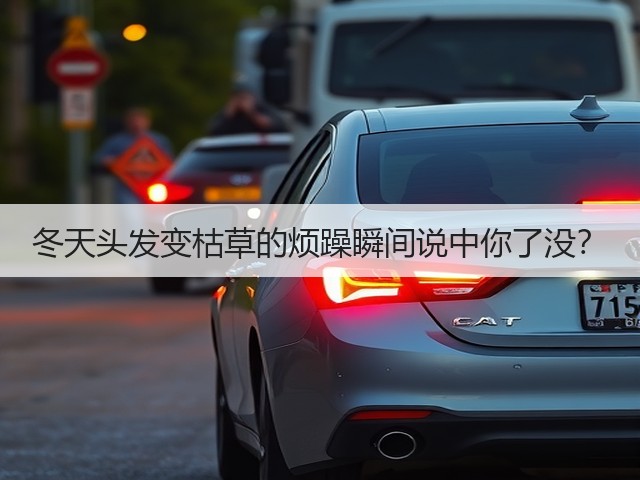 冬天头发变枯草的烦躁瞬间说中你了没?(图3) 冬天头发变枯草的烦躁瞬间说中你了没?(图3)