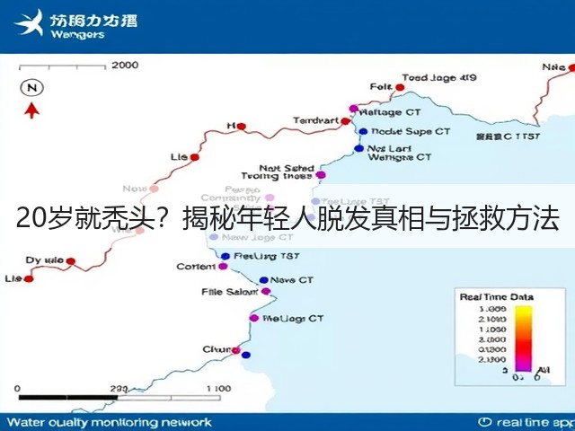 20岁就秃头?揭秘年轻人脱发真相与拯救方法(图2) 20岁就秃头?揭秘年轻人脱发真相与拯救方法(图2)