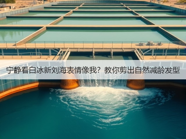 宁静看白冰新刘海表情像我?教你剪出自然减龄发型(图2) 宁静看白冰新刘海表情像我?教你剪出自然减龄发型(图2)