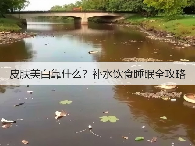 皮肤美白靠什么?补水饮食睡眠全攻略(图1) 皮肤美白靠什么?补水饮食睡眠全攻略(图1)