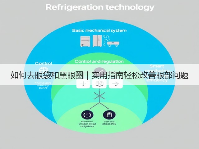 如何去眼袋和黑眼圈｜实用指南轻松改善眼部问题(图2)