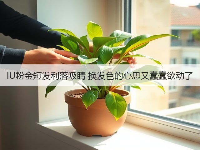 IU粉金短发利落吸睛 换发色的心思又蠢蠢欲动了(图2) IU粉金短发利落吸睛 换发色的心思又蠢蠢欲动了(图2)