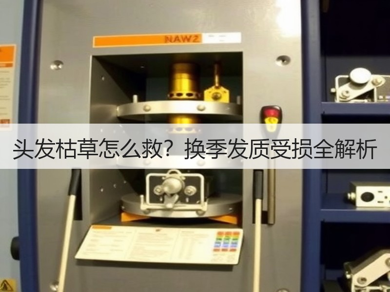 头发枯草怎么救？换季发质受损全解析