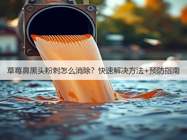 草莓鼻黑头粉刺怎么消除?快速解决方法+预防指南(图3) 草莓鼻黑头粉刺怎么消除?快速解决方法+预防指南(图3)