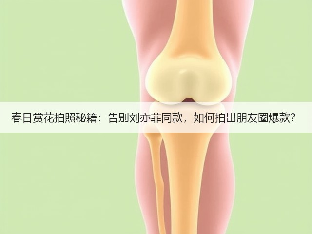 春日赏花拍照秘籍:告别刘亦菲同款,如何拍出朋友圈爆款?(图2) 春日赏花拍照秘籍:告别刘亦菲同款,如何拍出朋友圈爆款?(图2)
