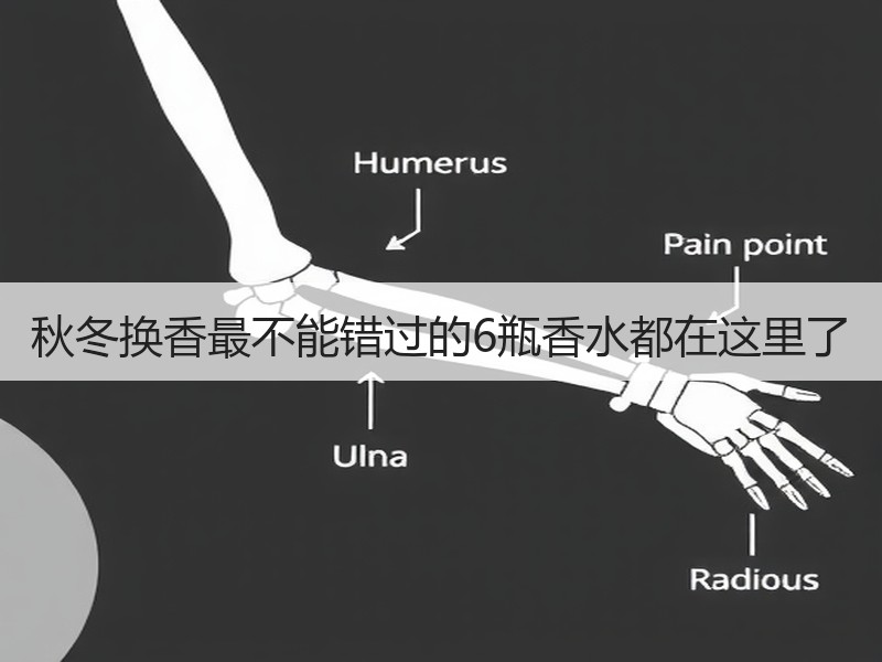 秋冬换香最不能错过的6瓶香水都在这里了