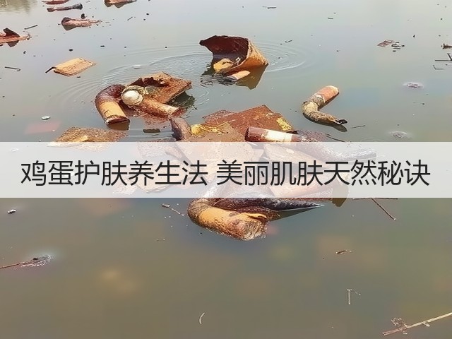 鸡蛋护肤养生法 美丽肌肤天然秘诀(图1) 鸡蛋护肤养生法 美丽肌肤天然秘诀(图1)