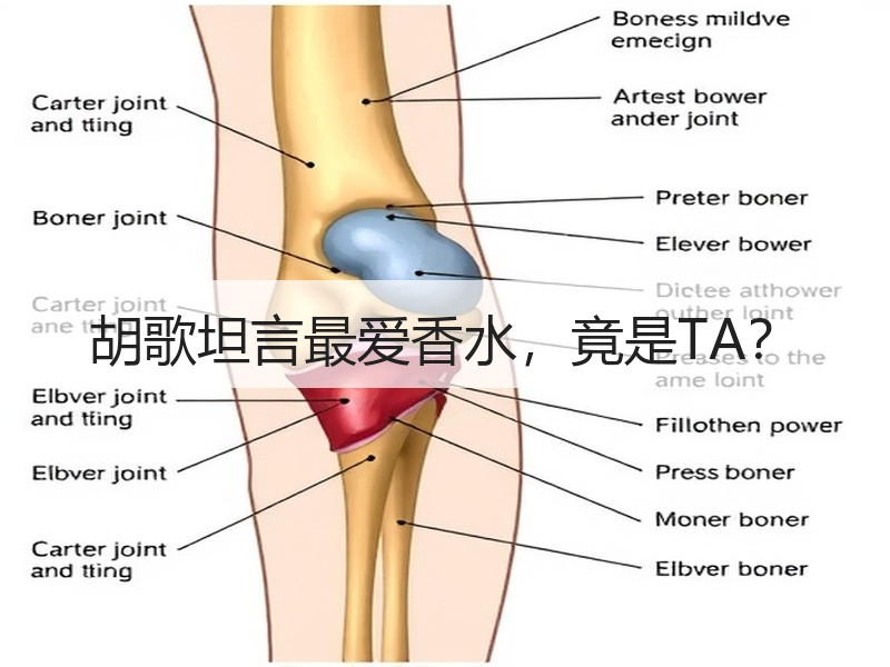 胡歌坦言最爱香水，竟是TA？