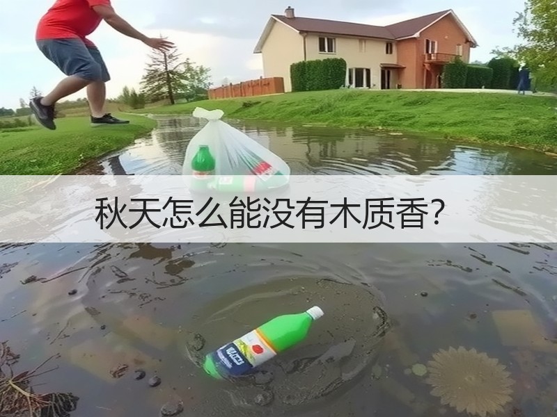 秋天怎么能没有木质香？