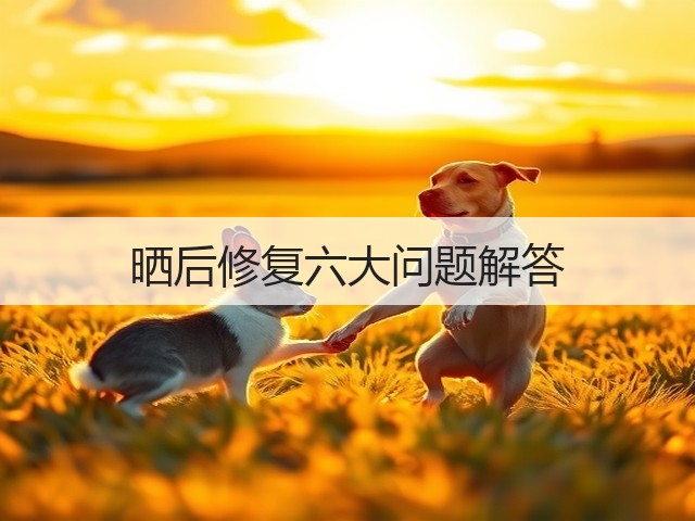 晒后修复六大问题解答(图2)