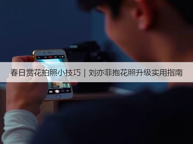 春日赏花拍照小技巧|刘亦菲抱花照升级实用指南(图3) 春日赏花拍照小技巧|刘亦菲抱花照升级实用指南(图3)