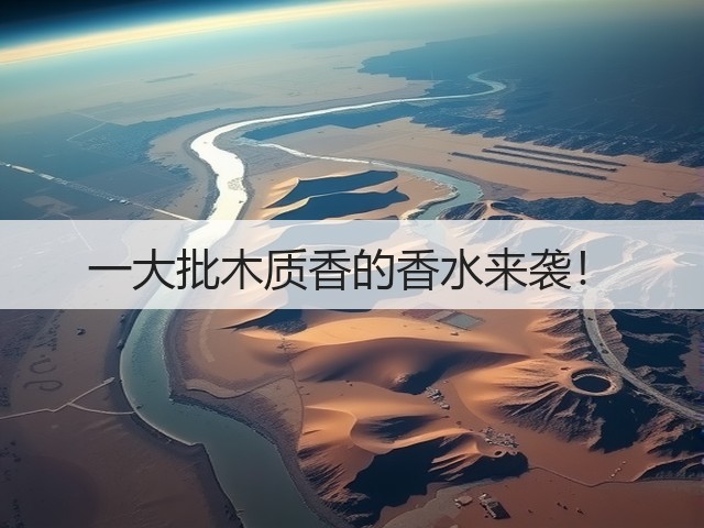 一大批木质香的香水来袭！(图2)