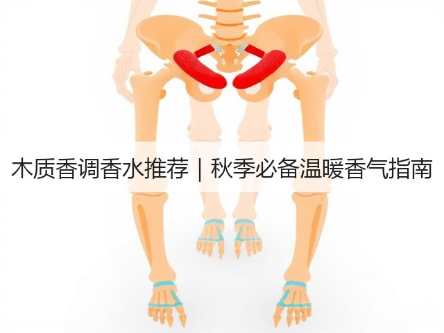 木质香调香水推荐|秋季必备温暖香气指南(图2) 木质香调香水推荐|秋季必备温暖香气指南(图2)