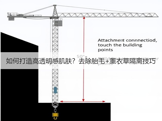 如何打造高透明感肌肤?去除胎毛+薰衣草隔离技巧(图3) 如何打造高透明感肌肤?去除胎毛+薰衣草隔离技巧(图3)
