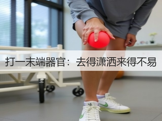 打一末端器官：去得潇洒来得不易(图2)